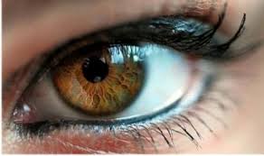 Иридоскрин на Первом канале!