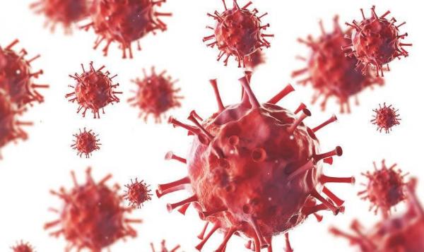 photo_2020-01-24_21-52-19-600x357.jpg photo_2020-01-24_21-52-19-600x357.jpg