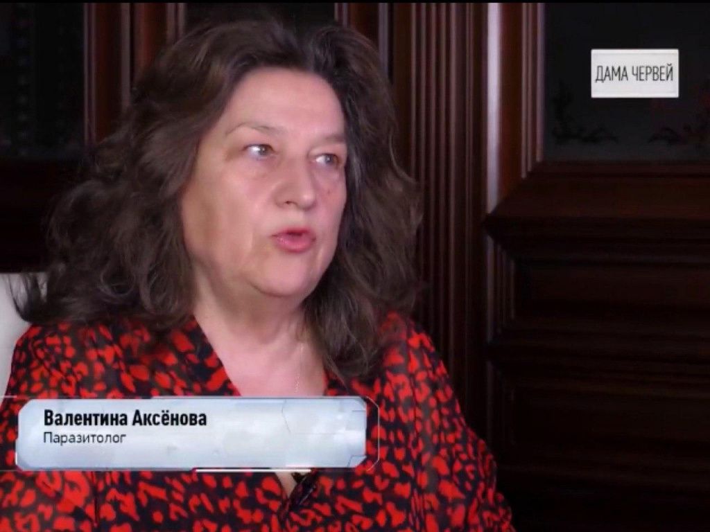 Основатель «Оптисалт» - эксперт программы на РЕН ТВ